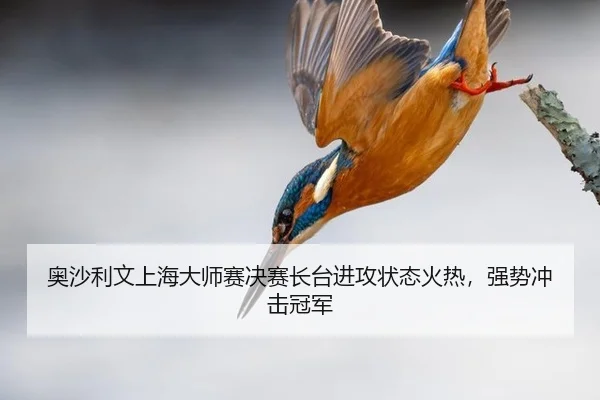 奥沙利文上海大师赛决赛长台进攻状态火热，强势冲击冠军