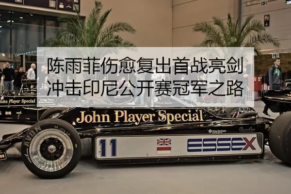 chen-yu-fei-shang-yu-fu-chu-shou-zhan-liang-jian-chong-ji-yin-ni-gong-kai-sai-guan-jun-zhi-lu-2-666.jpg